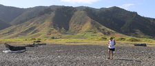 East Bay New Zealand